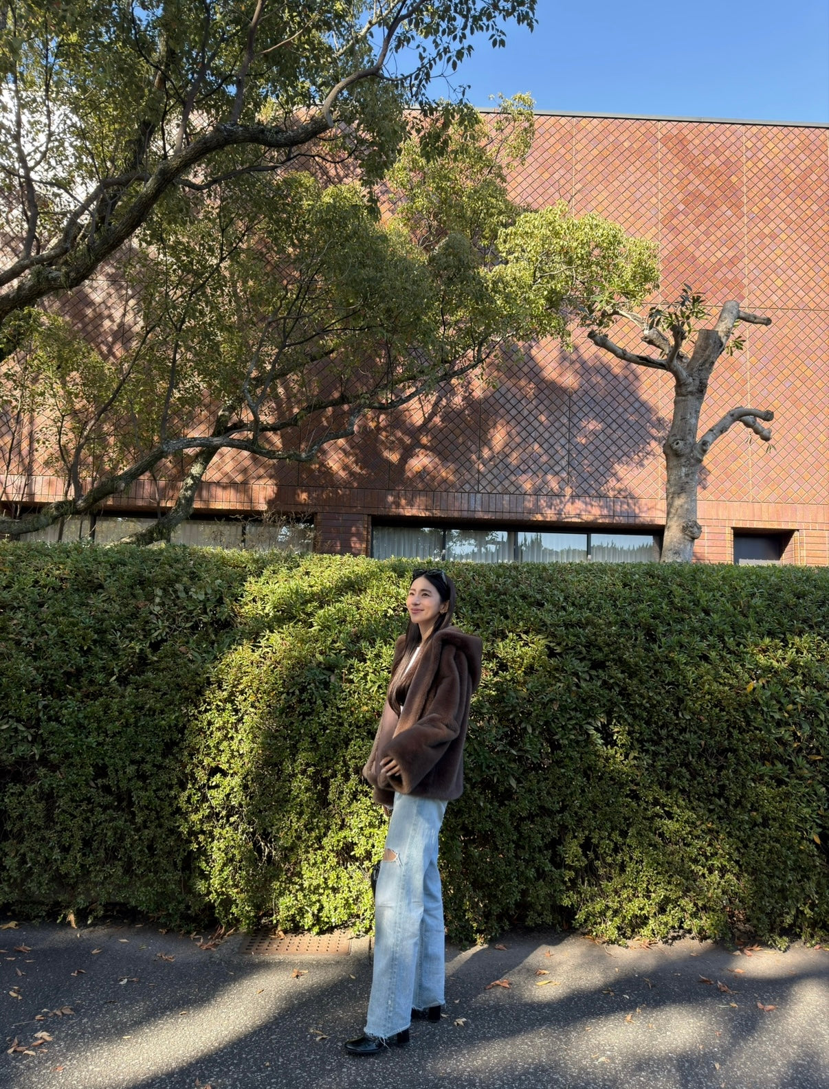 Eco fur hood coat / brown